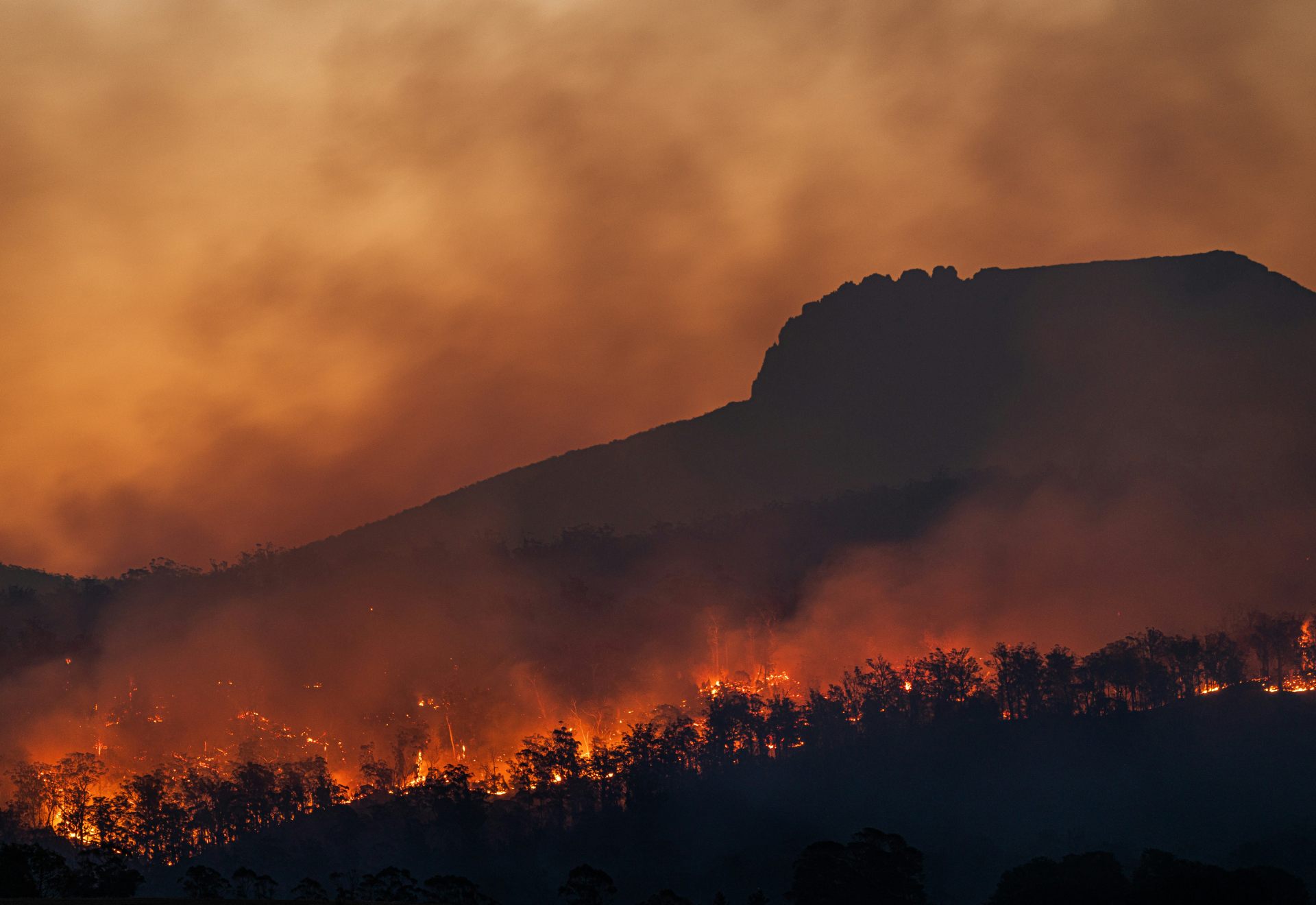 rök och siluetter av brinnande träd mot en bergskant