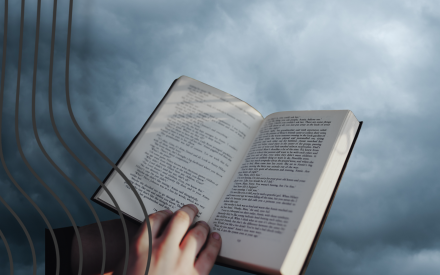 Bok med mörka moln bakom