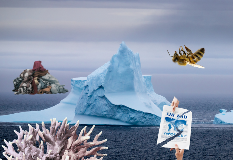 Isberg, klädberg, bi, dokument, korall