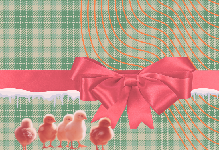 Grön rutig bakgrund, röd rosett, små kycklingar