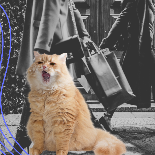 Katt som gäspar, folk i bakgrunden med kassar