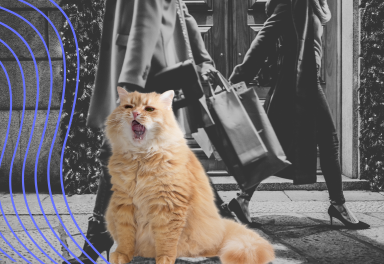 Katt som gäspar, folk i bakgrunden med kassar