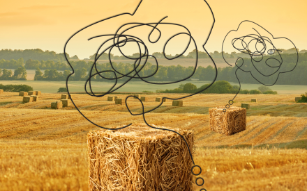 Fält med hö-kuber och tankebubblor ovanför.