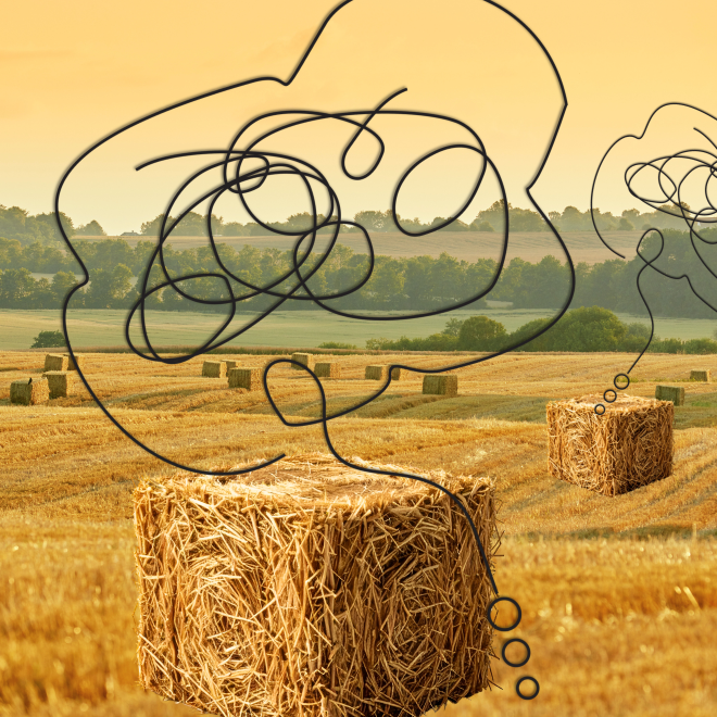 Fält med hö-kuber och tankebubblor ovanför.