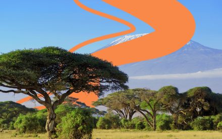 Savann i Kenya