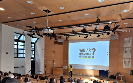 En föreläsare pratar inför en publik i en aula med en presentation om mänskliga rättigheter på skärmen.