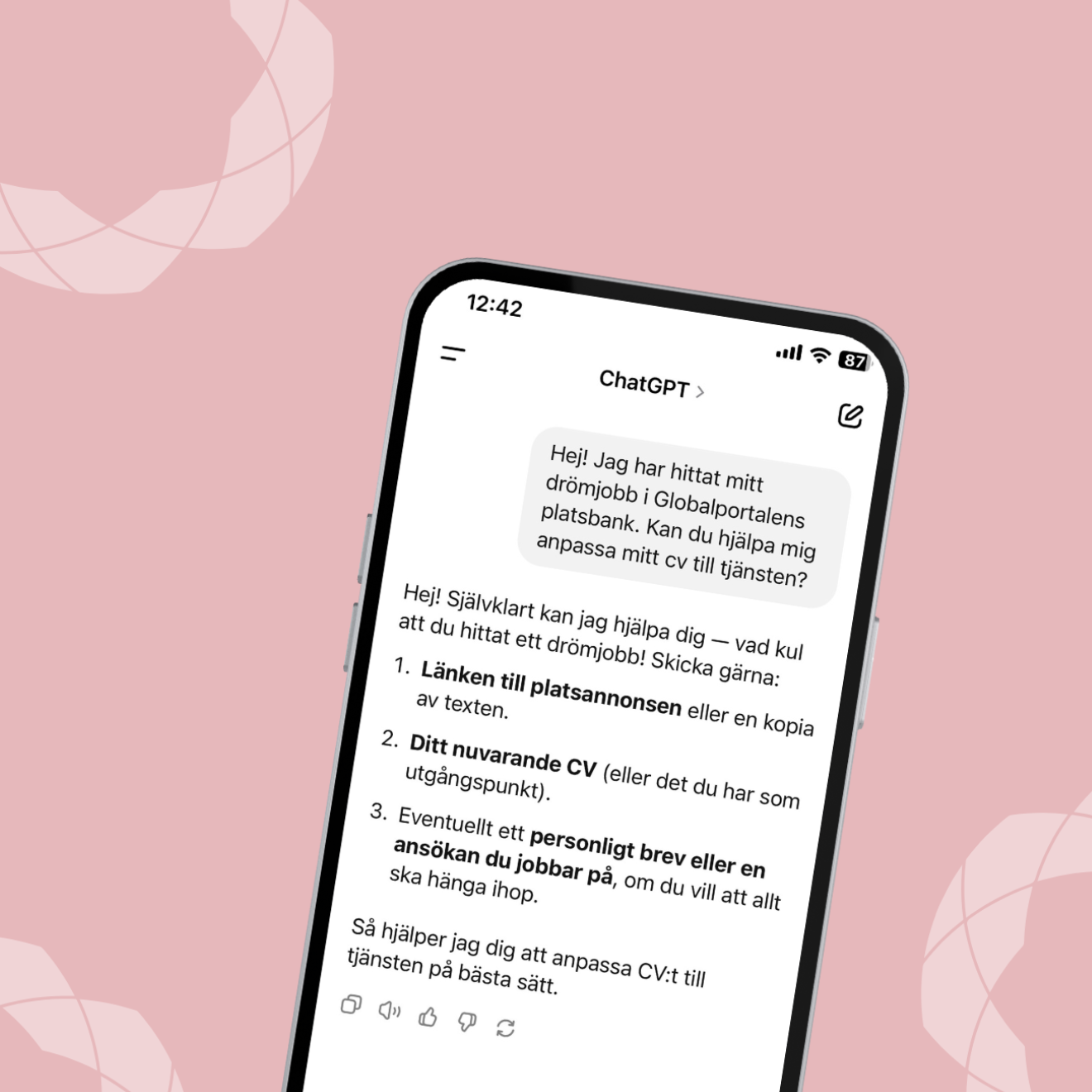 skärmdump av chatkonversation