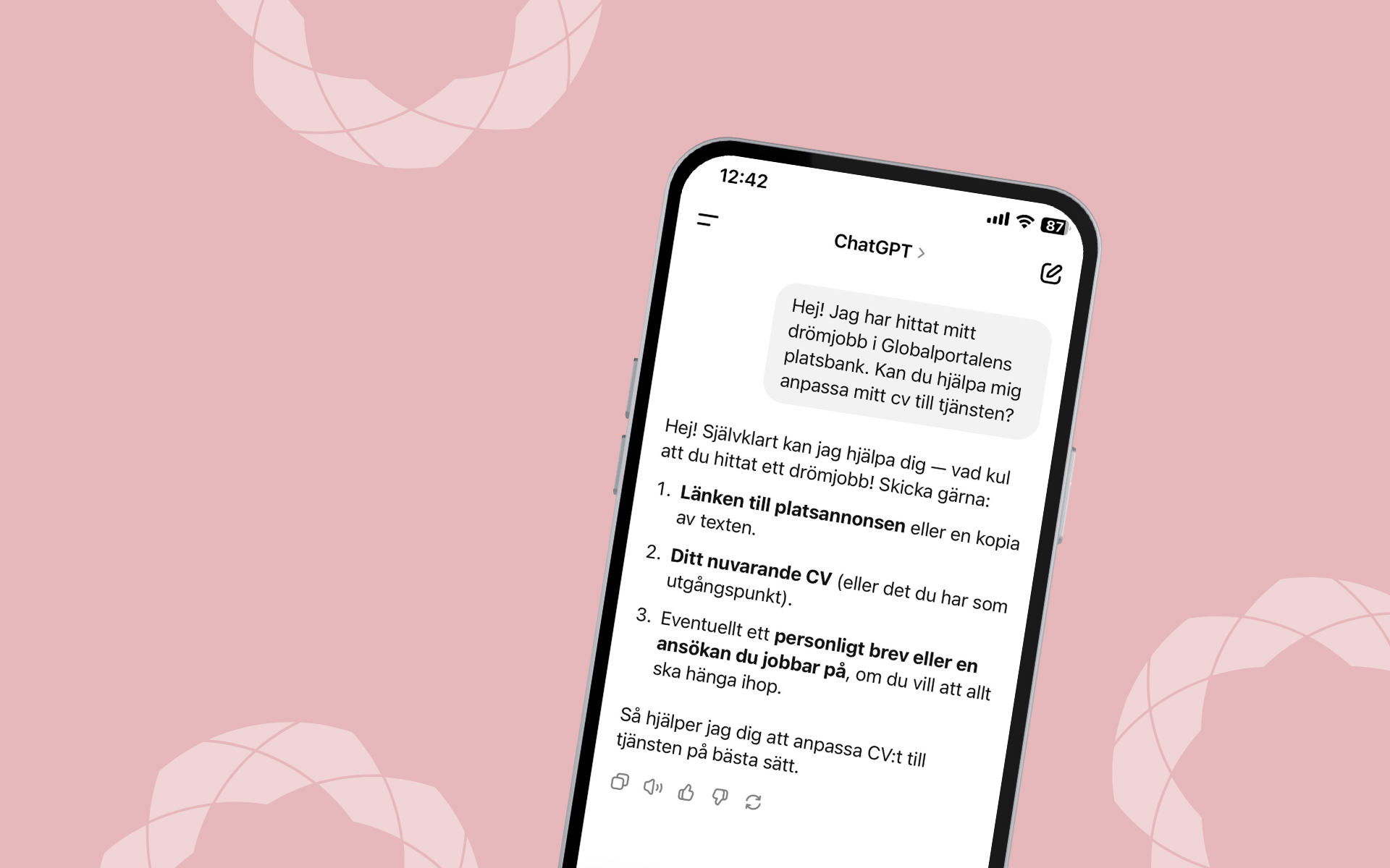 skärmdump av chatkonversation