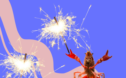 Kräfta med tomtebloss