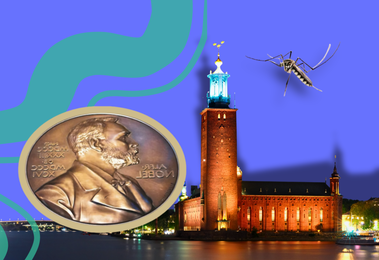 Collage med Stadshuset, nobelpriset och en mygga