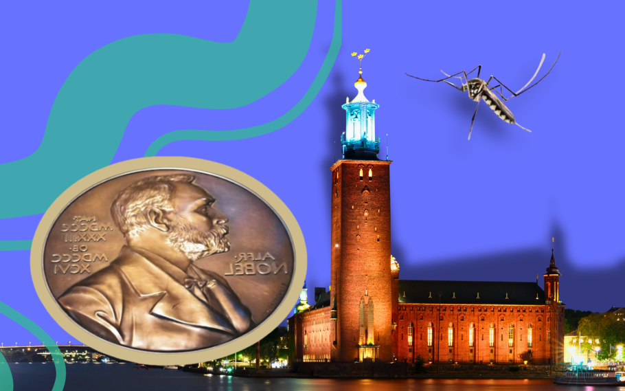 Collage med Stadshuset, nobelpriset och en mygga