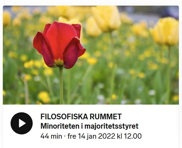 Skärmavbild från avsnittet på Sveriges Radios hemsida.