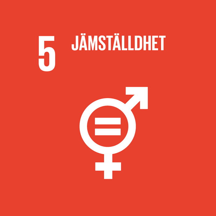Mål 5 i Agenda 2030: Jämställdhet