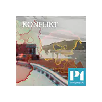 Kurderna hjälpte världen att besegra IS &#8211; vad ska hända med dem nu?