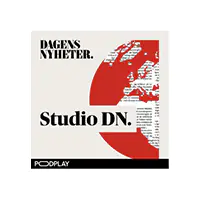 Protesterna i Iran – vad hände 22-åriga Mahsa Amini?